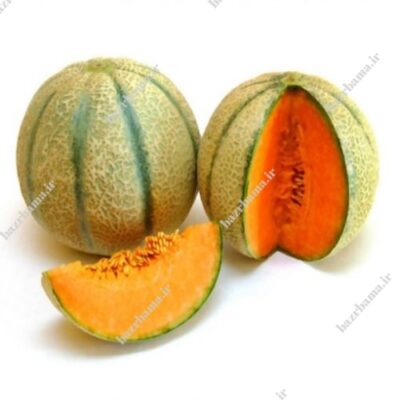 بذر طالبی