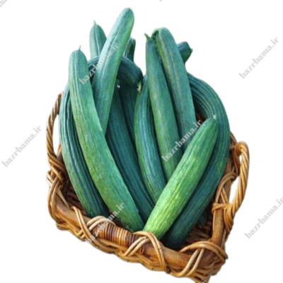 بذر خیار چمبر