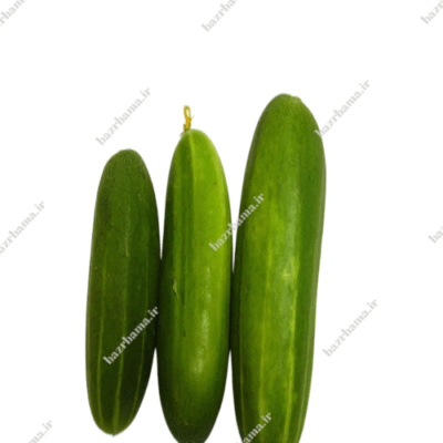 خیار دستگردی اصفهانی | 1 کیلویی